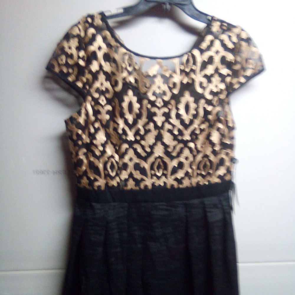 Adrianna Papell dress